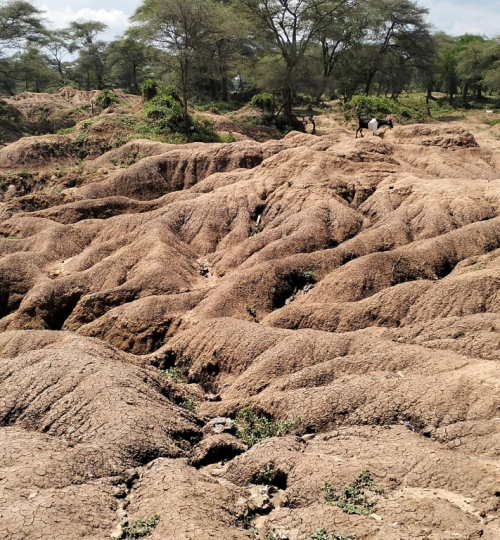 Land Degradation in Barsemoi area