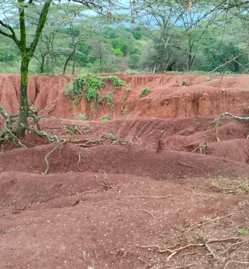 Land Degaradation in Barsemoi