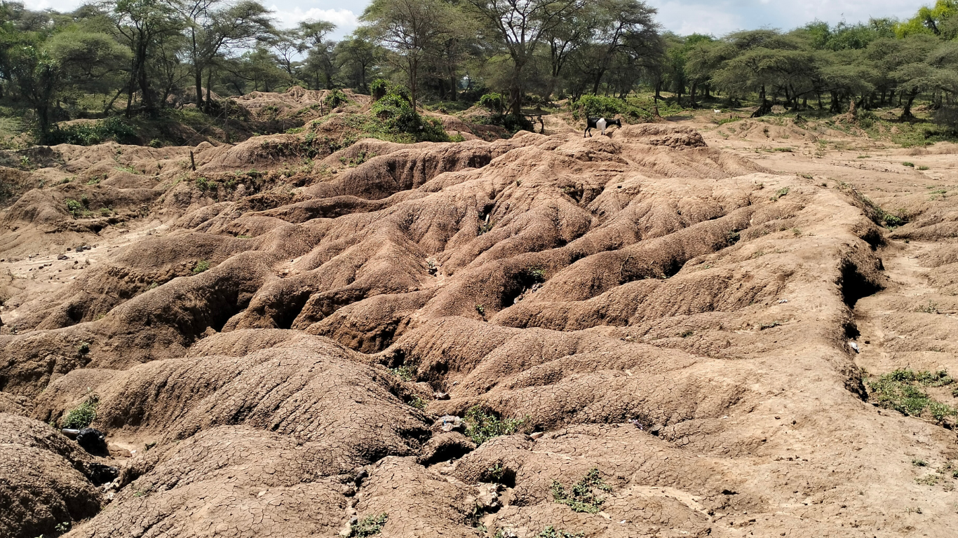 Land Degradation in Barsemoi area