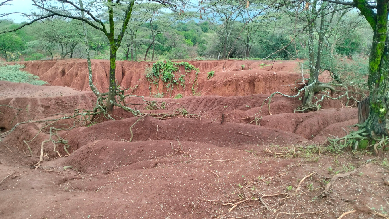 Land Degaradation in Barsemoi