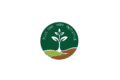 Plus One Tree Initiative